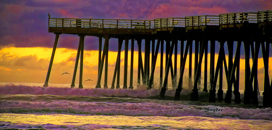 Sunset Photograph - Pismo Beach Pier Seagull II by Floyd Snyder