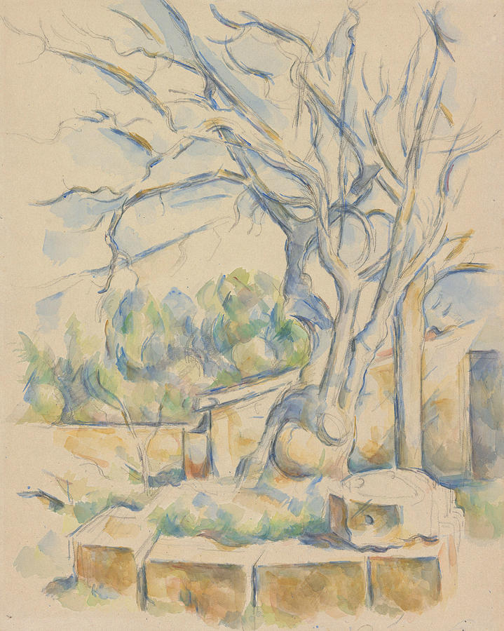 Pistachio Tree at Chateau Noir Drawing by Paul Cezanne
