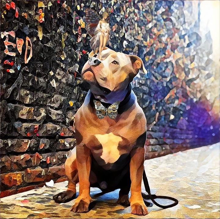 Pitbull Digital Art by Anna Nylander - Fine Art America