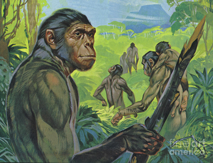 Planet Of The Apes Painting - Pithecanthropus by Angus McBride