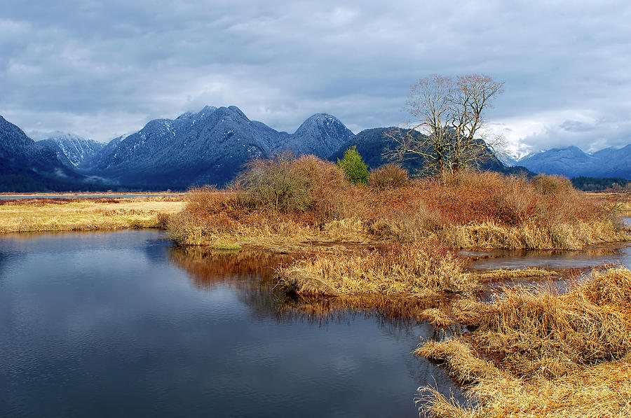 Pitt Polder Snowcapped Mountains by Sharon Talson Pitt Polder Snowcapped Mountains by Sharon Talson