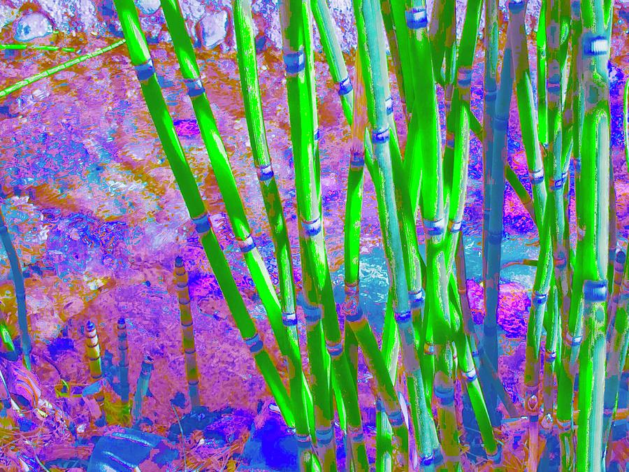 Pixel Reeds Too Photograph by Debra Grace Addison