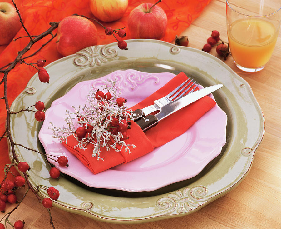 Place Setting Decorated With Calocephalus And Rose Hips Photograph by Strauss, Friedrich