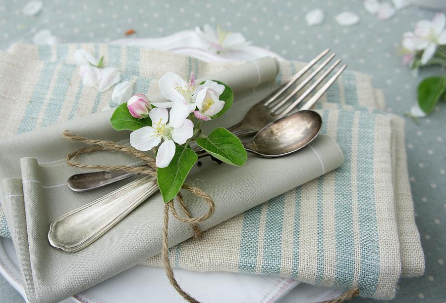 Place Setting With Apple Blossom And Napkins Photograph by Martina Schindler