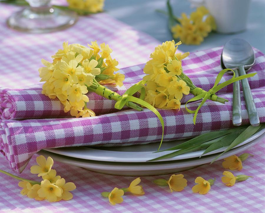 Place-setting With Napkin And Small Posies Of Cowslips Photograph by Strauss, Friedrich