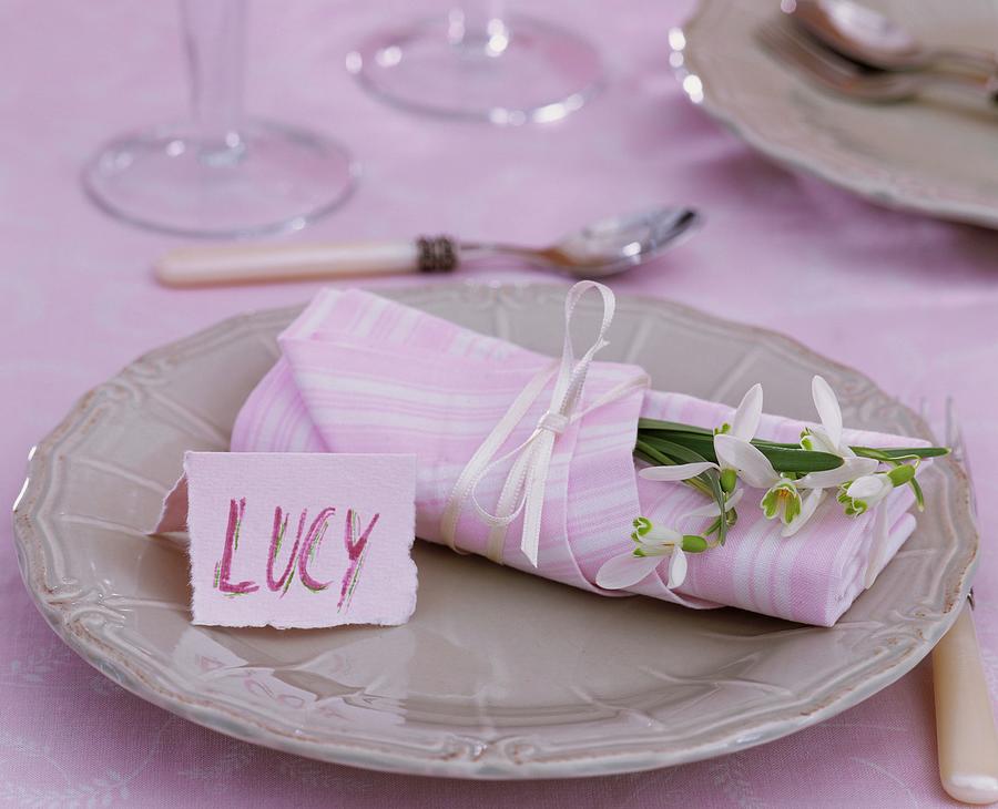 Place-setting With Snowdrops, Napkin & Place Card lucy Photograph by Strauss, Friedrich