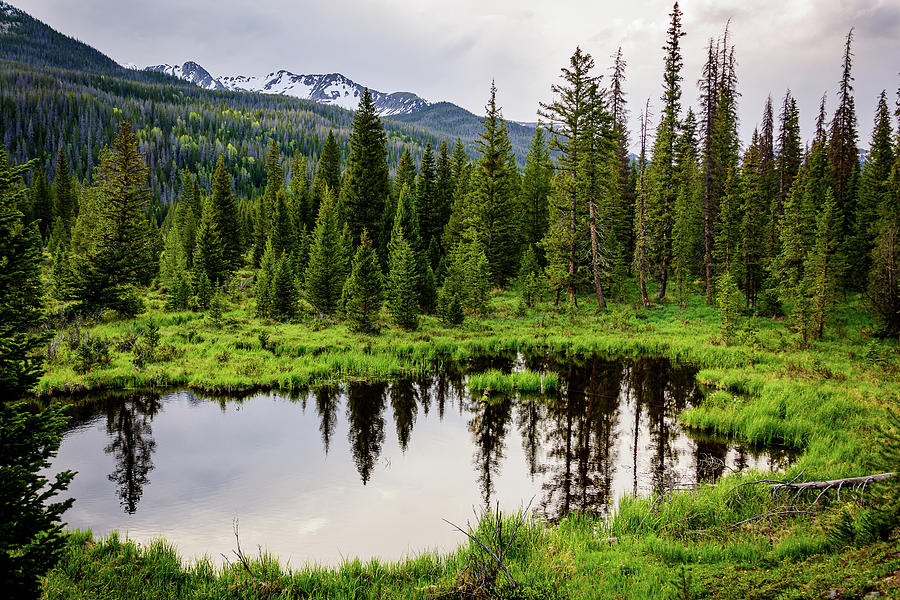 Placid Pond Photograph by John Wilkinson