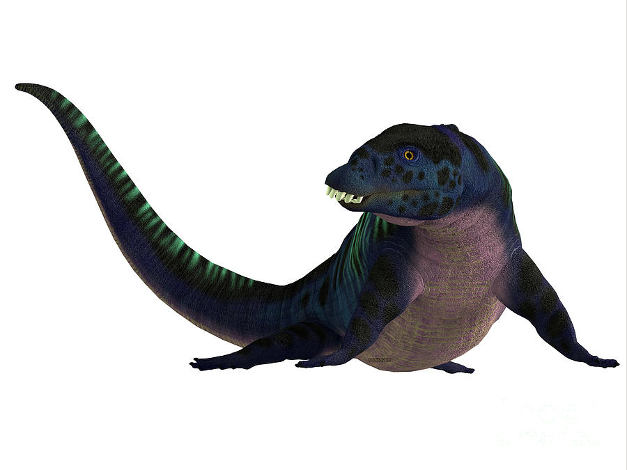 Placodus Reptile Head Digital Art by Corey Ford