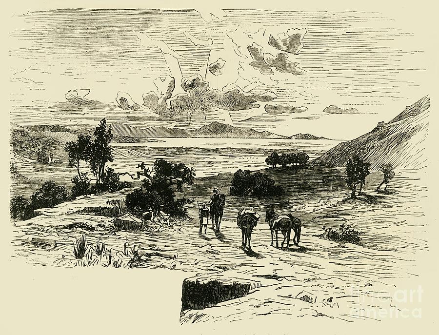 Plain Of Marathon Drawing by Print Collector