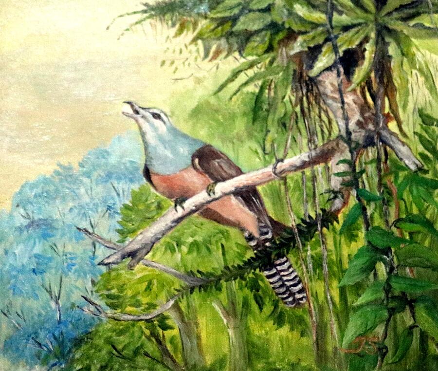 Plaintive Cuckoo Painting by Jason Sentuf