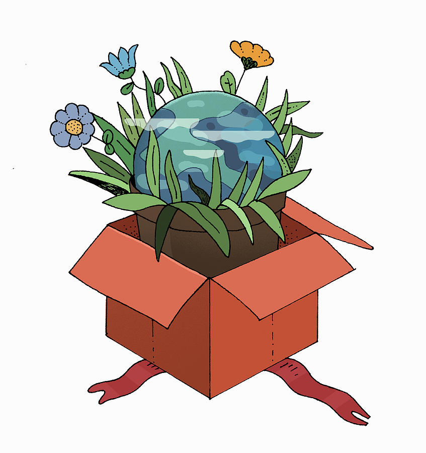Planet Earth Pot Plant In Gift Box Photograph by Ikon Images