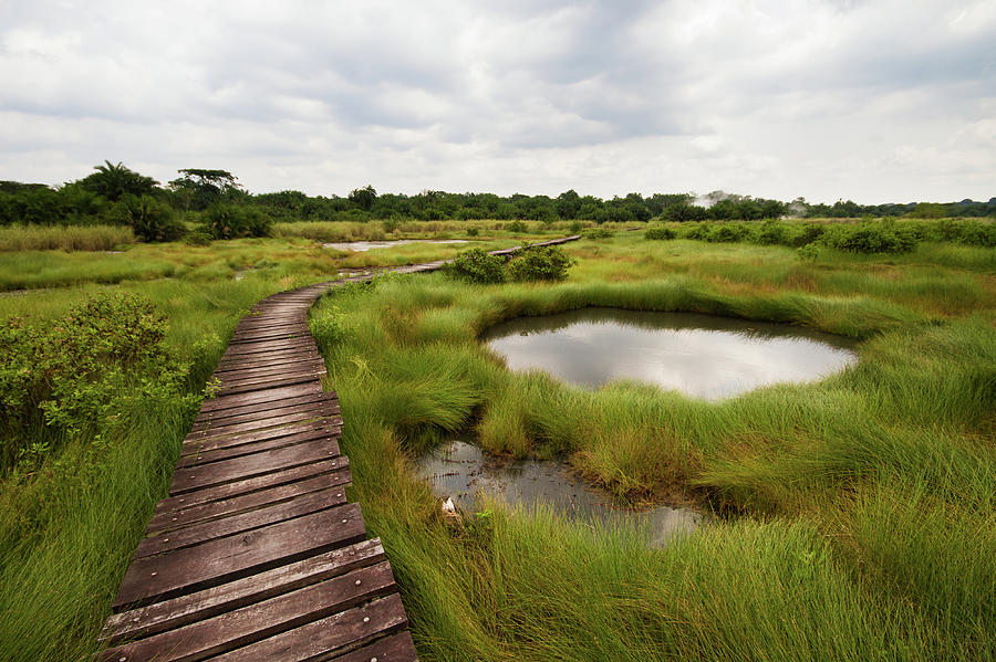 Plank Walkway Over Sulfuric Swamp Photograph by Universal Stopping Point Photography