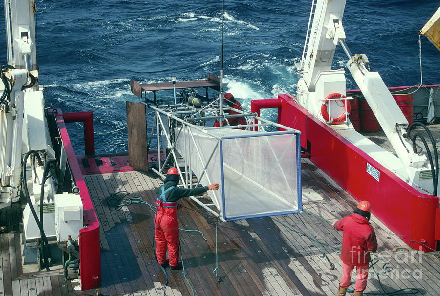 Plankton Net Photograph by British Antarctic Survey/science Photo Library