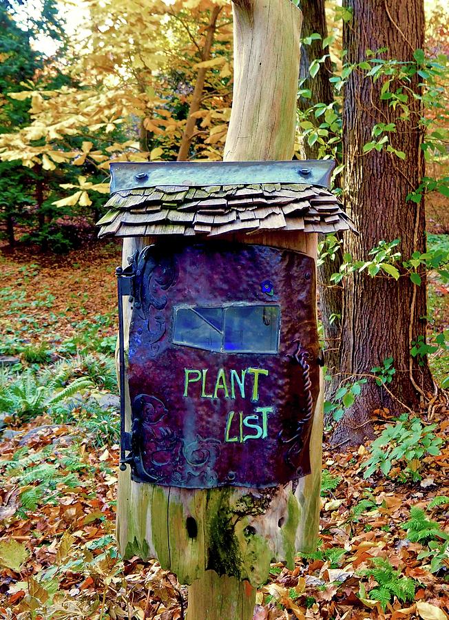 Plant List Box Photograph by Alida M Haslett