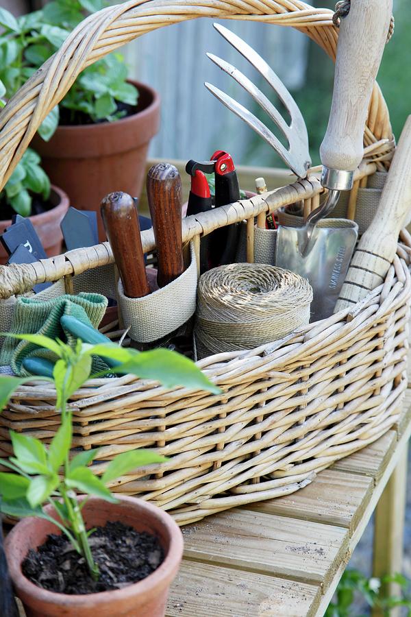 Plant Pots And Basket Of Gardening Tools On Wooden Table Photograph by Simon Scarboro