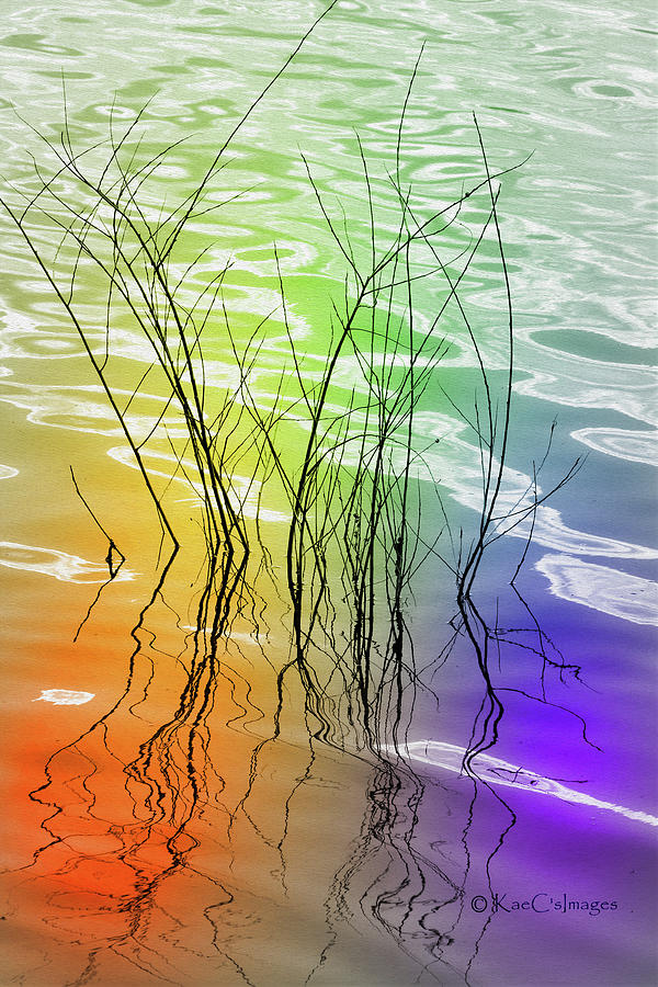 Plant Reflections Colorful Water Photograph by Kae Cheatham