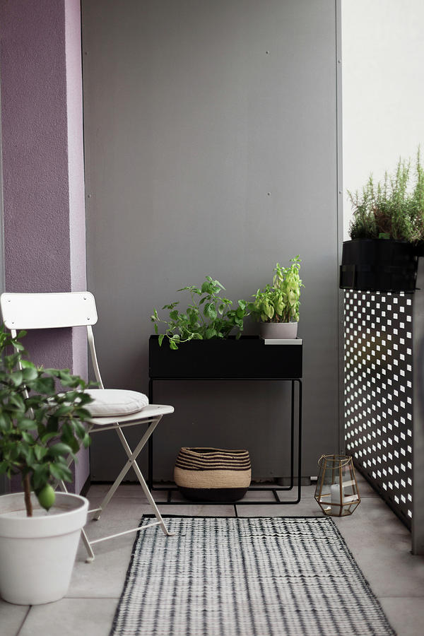 Plant Stand And Folding Chair On Balcony With Grey Wall Photograph by Wiener Wohnsinn