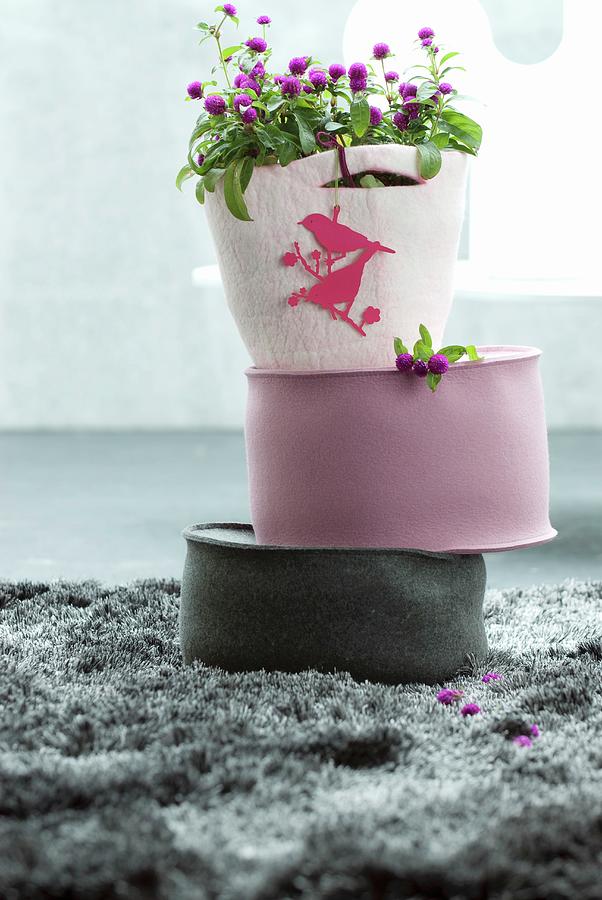 Plant With Purple Flowers In Felt Planter And Two Felt Cushions On Grey, Long-pile Rug Photograph by Matteo Manduzio