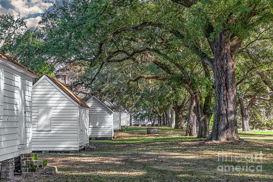 Cabin Photograph - Plantation Cabins - Mcleod Plantation by Dale Powell