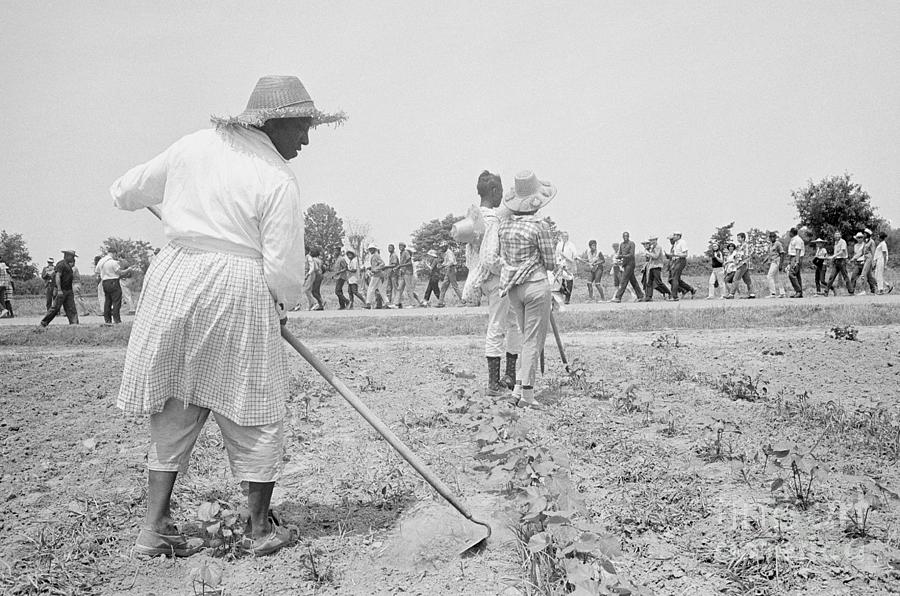 plantation-workers-greeting-marchers-photograph-by-bettmann-pixels