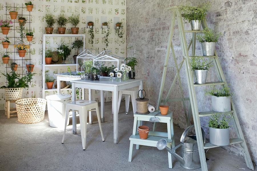 Plants In Zinc Pots On Stepladder, Gardening Utensils, Small Tables And Shelves Of Plants In Vintage Interior Photograph by Annette Nordstrom