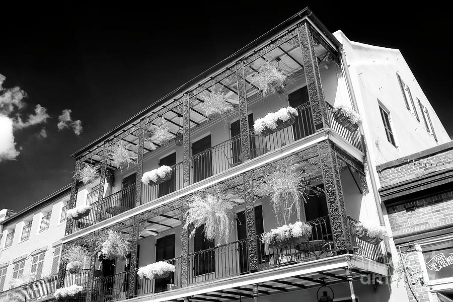 Plants on the Balcony New Orleans Infrared Photograph by John Rizzuto