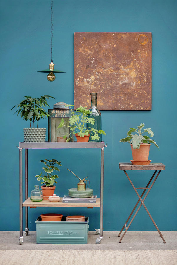 Plants On Trolley And Folding Table Against Blue Wall Photograph by Magdalena Bjrnsdotter