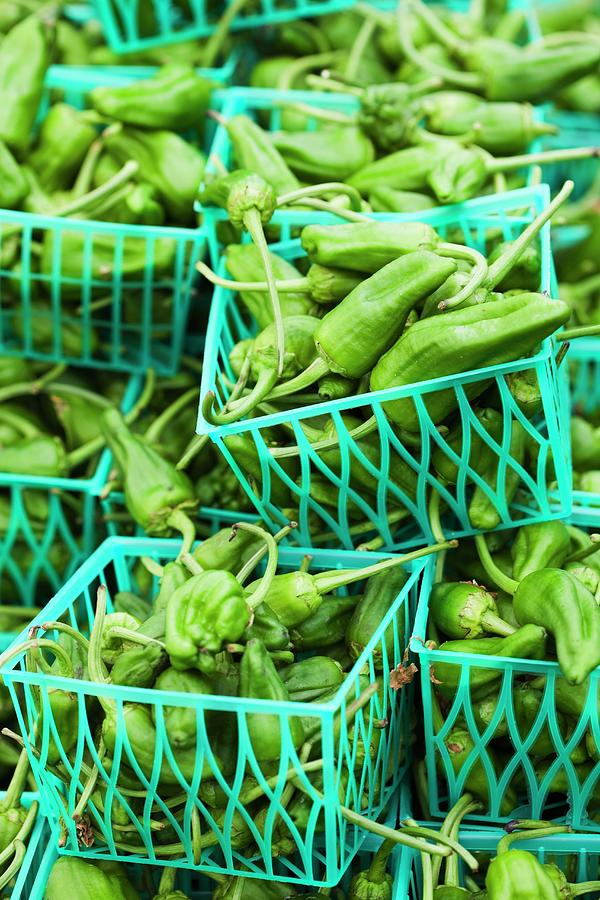 Plastic Baskets Of Green Anaheim Chilis At A Farmers Market Photograph by Jennifer Martine