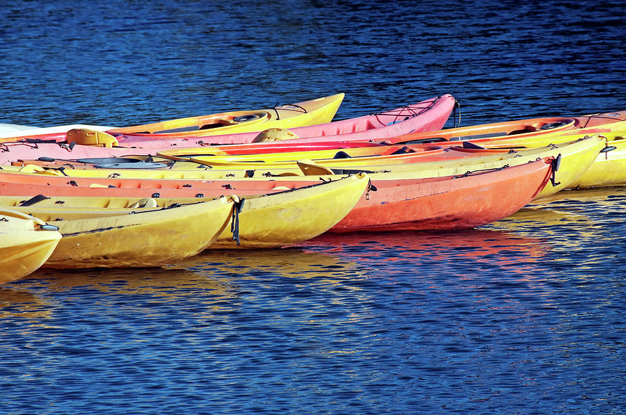 Plastic Boats For Rent At River Marina Photograph by Philaugustavo