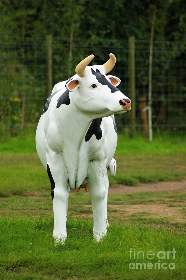 Plastic Cow In Scotland Photograph by Mark Williamson/science Photo Library