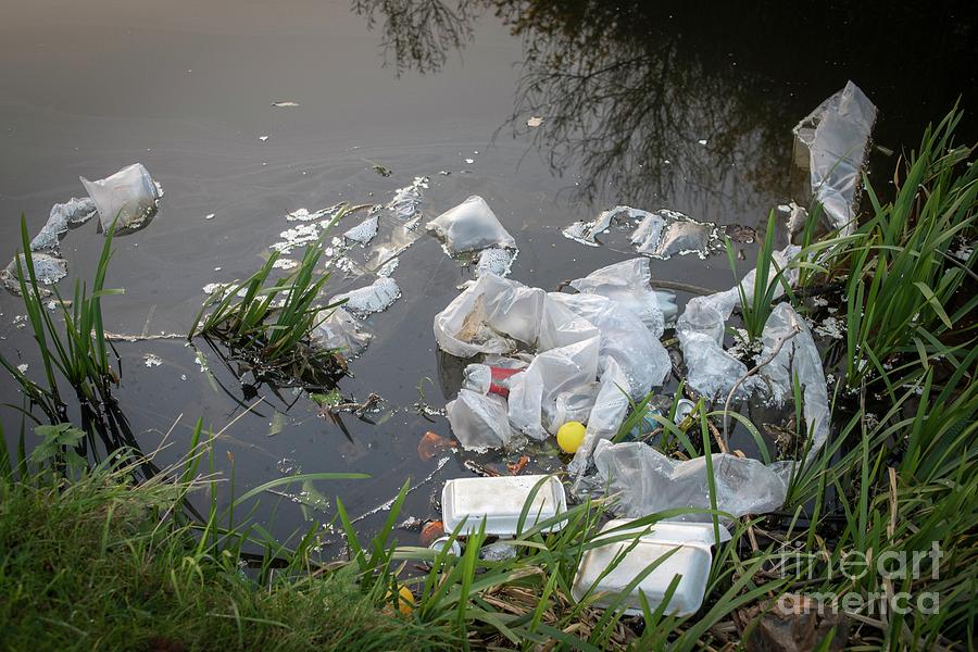 Plastic Garbage In Waterway. by Robert Brook/science Photo Library