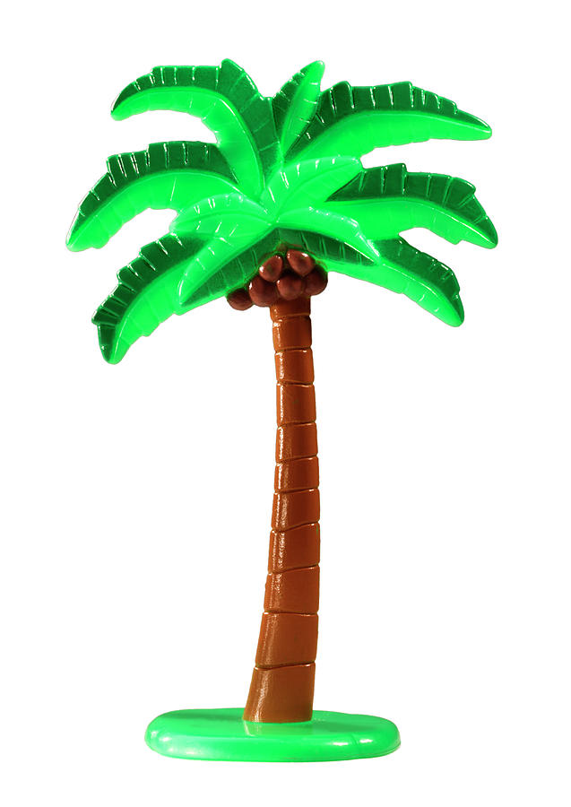 Nature Drawing - Plastic Palm Tree by CSA Images