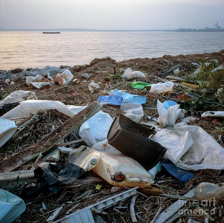 Plastic Rubbish On Shore Photograph by Robert Brook/science Photo Library