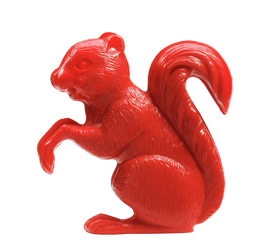 Nature Drawing - Plastic Squirrel Figurine by CSA Images