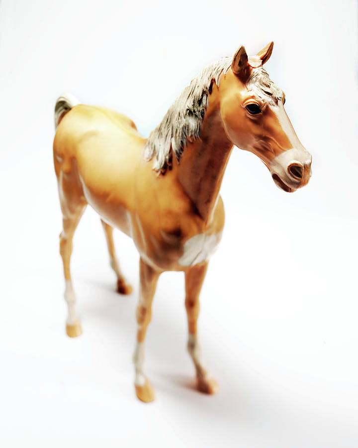 Vintage Drawing - Plastic Toy Horse by CSA Images