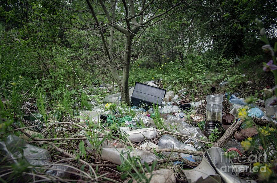 Abandoned Photograph - Plastic Waste Dumped In Urban Wood by Robert Brook/science Photo Library Abandoned Photograph - Plastic Waste Dumped In Urban Wood by Robert Brook/science Photo Library