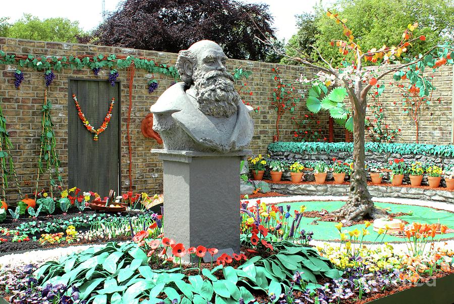 London Photograph - Plasticine Garden by Mike Comb/science Photo Library