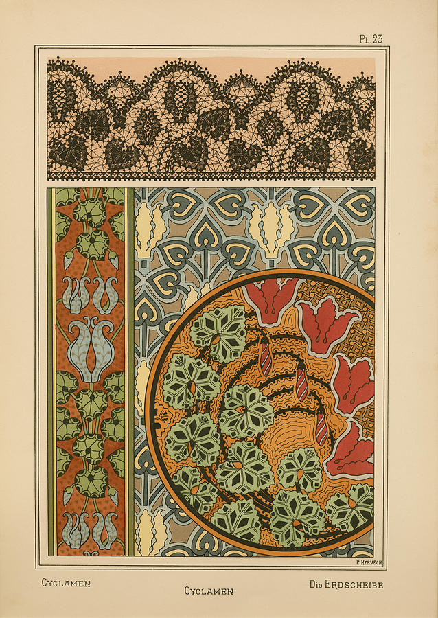 Plate 23 - Cyclamen by Vintage Apple Collection - Fine Art America