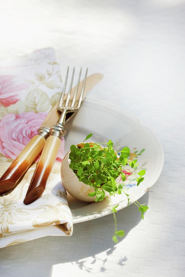 Plate Decoration; Alfalfa Sprouts In Halved Eggshell Next To Cutlery And Napkin On Plate Photograph by Sabine Lscher