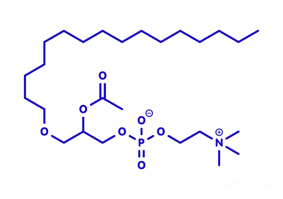 Platelet Activating Factor Signalling Molecule Photograph by Molekuul ...