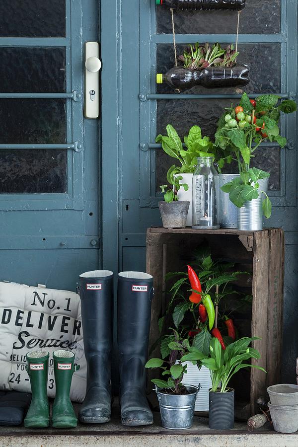 Platform In Front Of Front Door Decorated With Potted Vegetable Plants And Herbs Photograph by Eising Studio - Food Photo & Video