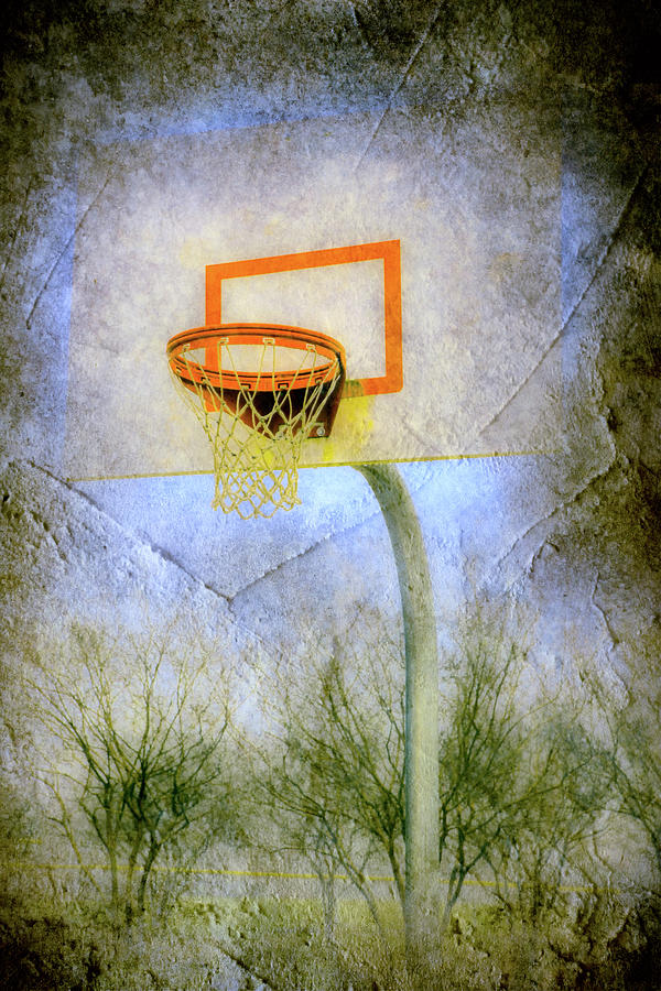 Play Ball-Basketball Photograph by Dan Carmichael