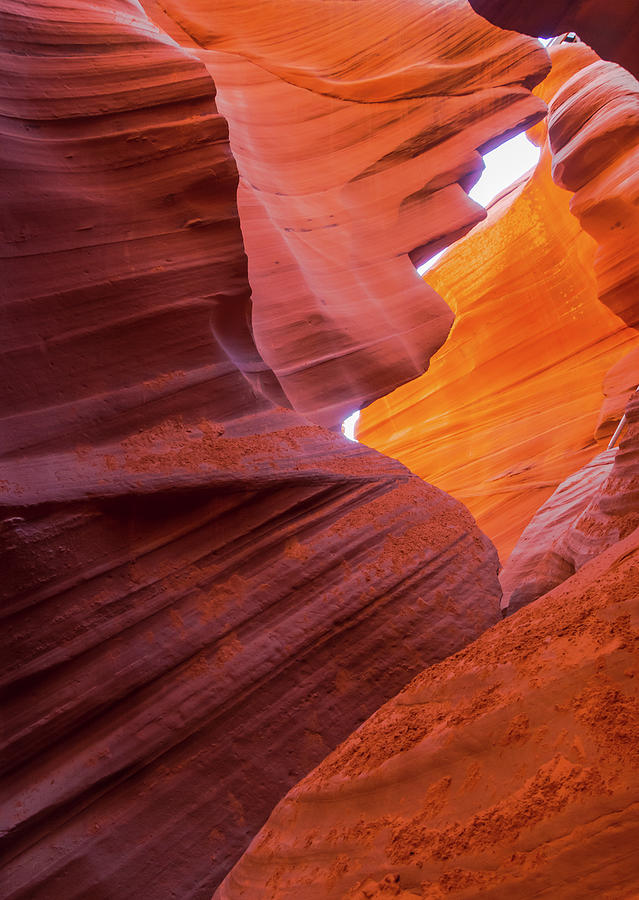 Play Ball Profile In Lower Antelope Canyon Photograph