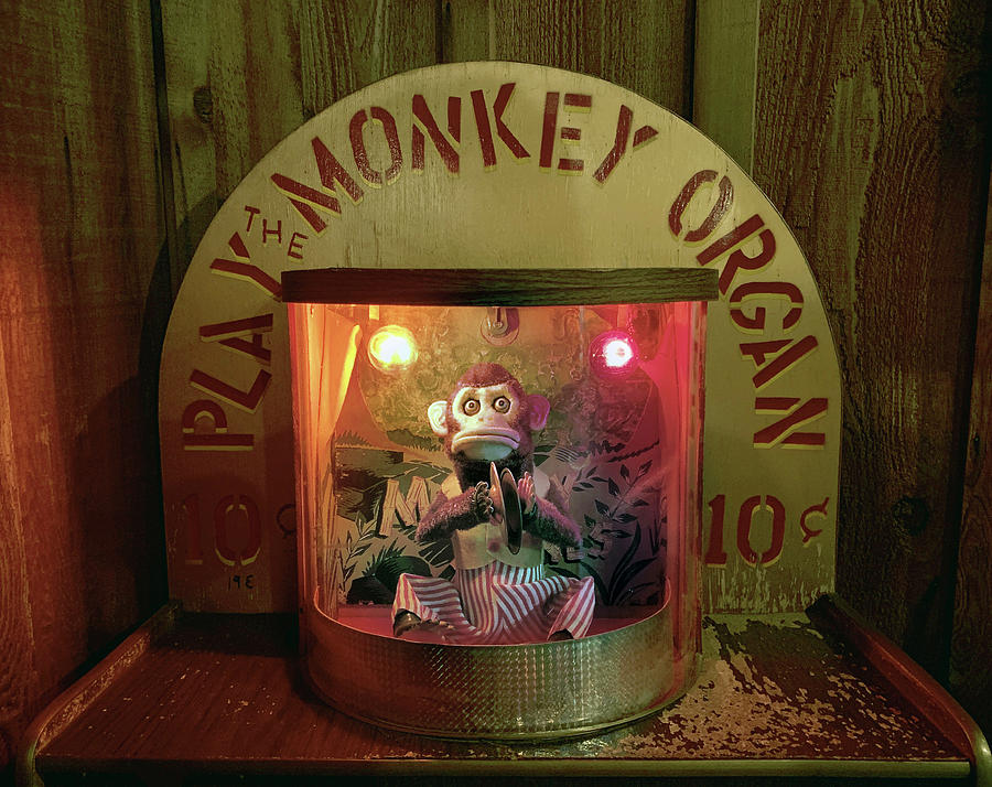 Play the Monkey Organ Photograph by Marilyn Hunt