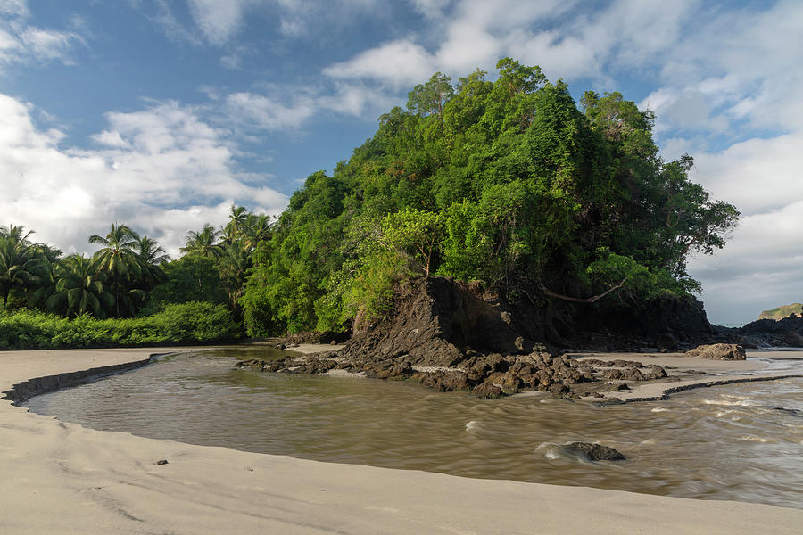 Playa Espadilla Coastal Landscape, Quepos, Costa Rica Photograph by David Pattyn / Naturepl.com 