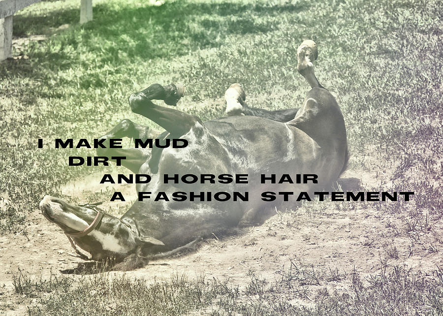PLAYFUL quote Photograph by Dressage Design