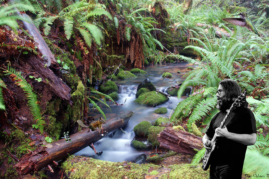 Playing for the creek Critters by Ben Upham Playing for the creek Critters by Ben Upham