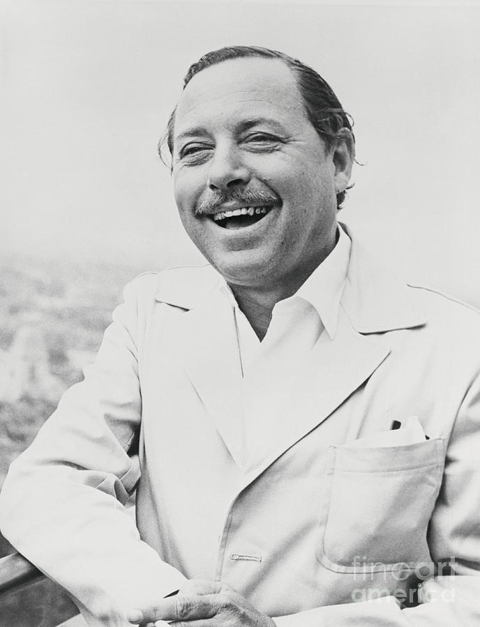 Playwright Tennessee Williams Photograph by Bettmann
