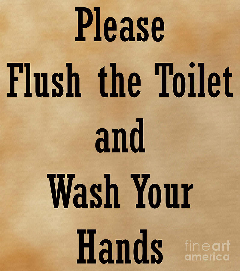 Please Flush the Toilet and Wash Your Hands, Restroom Sign, Bathroom Decor, Digital Art by David Millenheft