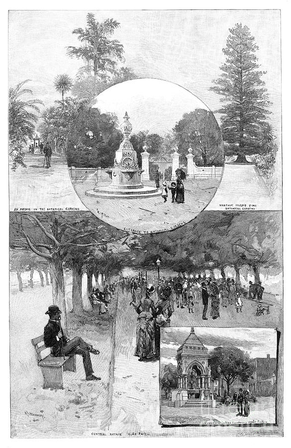 Pleasure Gardens, Sydney, New South Drawing by Print Collector Fine